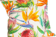 cotton-proteas